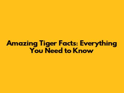 Amazing Tiger Facts: Everything You Need to Know