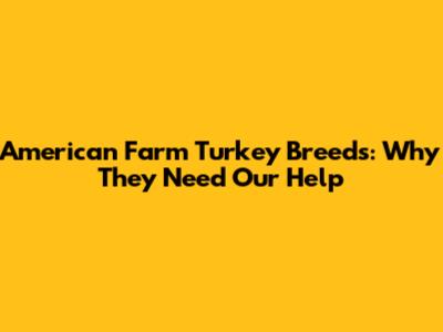 American Farm Turkey Breeds: Why They Need Our Help