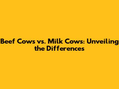 Beef Cows vs. Milk Cows: Unveiling the Differences