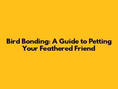 Bird Bonding: A Guide to Petting Your Feathered Friend