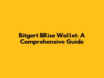 Bitgert BRise Wallet: A Comprehensive Guide