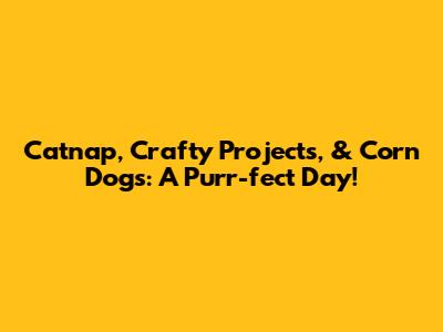 Catnap, Crafty Projects, & Corn Dogs: A Purr-fect Day!