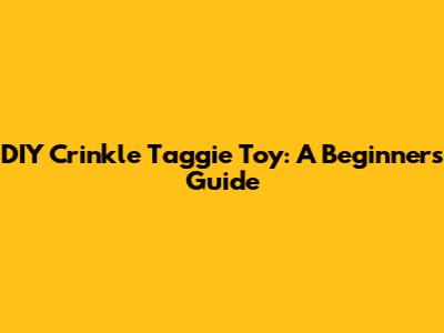 DIY Crinkle Taggie Toy: A Beginner's Guide
