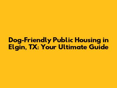 Dog-Friendly Public Housing in Elgin, TX: Your Ultimate Guide