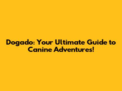 Dogado: Your Ultimate Guide to Canine Adventures!