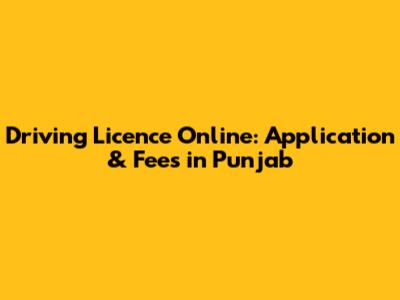 Driving Licence Online: Application & Fees in Punjab