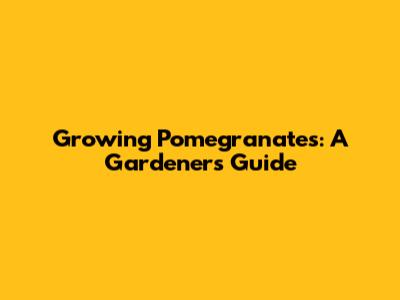 Growing Pomegranates: A Gardener's Guide