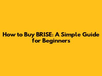 How to Buy BRISE: A Simple Guide for Beginners