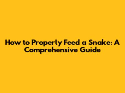 How to Properly Feed a Snake: A Comprehensive Guide