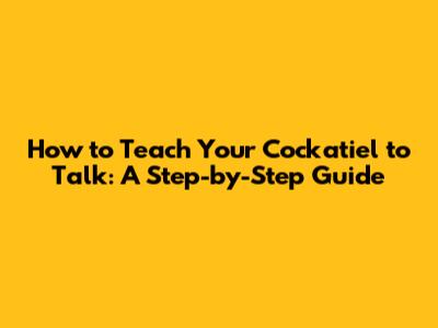 How to Teach Your Cockatiel to Talk: A Step-by-Step Guide
