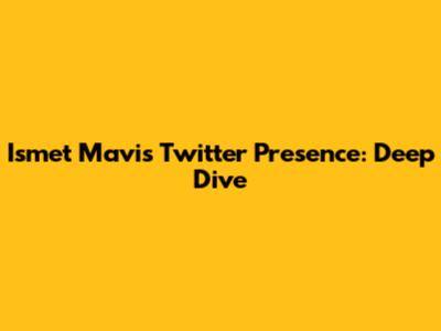 Ismet Mavi's Twitter Presence: Deep Dive