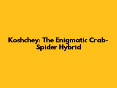 Koshchey: The Enigmatic Crab-Spider Hybrid