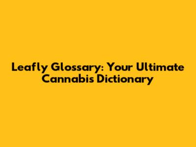 Leafly Glossary: Your Ultimate Cannabis Dictionary