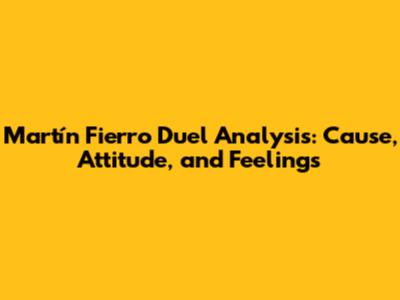Martín Fierro Duel Analysis: Cause, Attitude, and Feelings