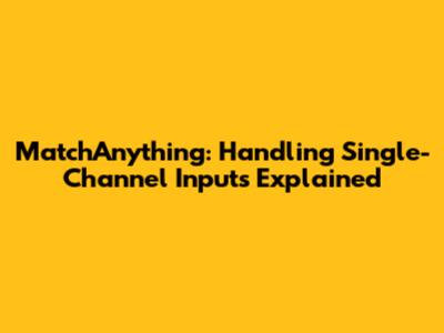 MatchAnything: Handling Single-Channel Inputs Explained