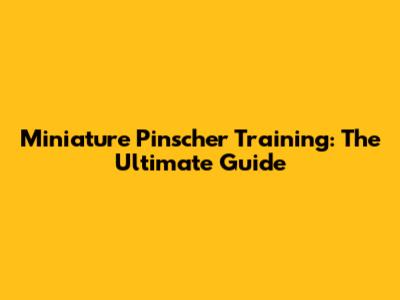 Miniature Pinscher Training: The Ultimate Guide