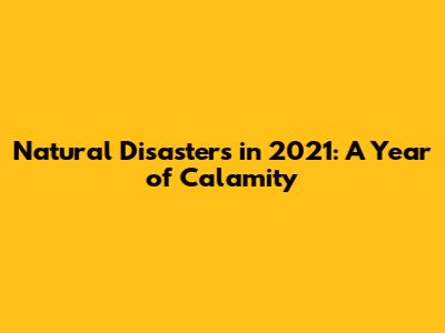 Natural Disasters in 2021: A Year of Calamity