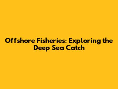 Offshore Fisheries: Exploring the Deep Sea Catch