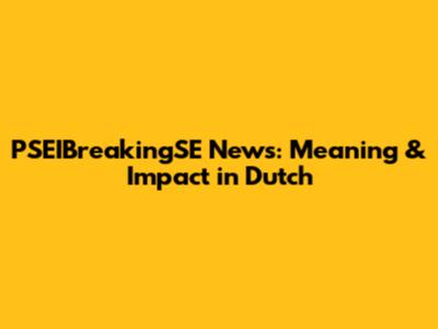 PSEIBreakingSE News: Meaning & Impact in Dutch