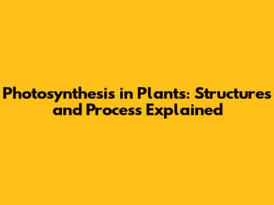 Photosynthesis in Plants: Structures and Process Explained