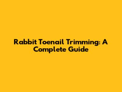 Rabbit Toenail Trimming: A Complete Guide