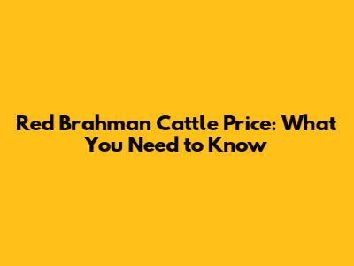 Red Brahman Cattle Price: What You Need to Know