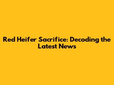 Red Heifer Sacrifice: Decoding the Latest News
