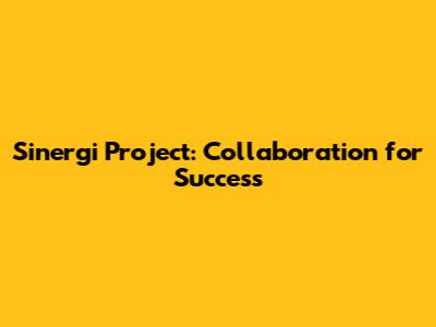 Sinergi Project: Collaboration for Success