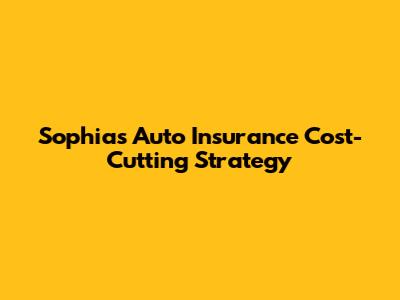 Sophia's Auto Insurance Cost-Cutting Strategy