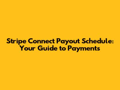 Stripe Connect Payout Schedule: Your Guide to Payments