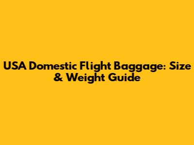 USA Domestic Flight Baggage: Size & Weight Guide