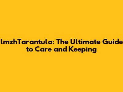 lmzhTarantula: The Ultimate Guide to Care and Keeping