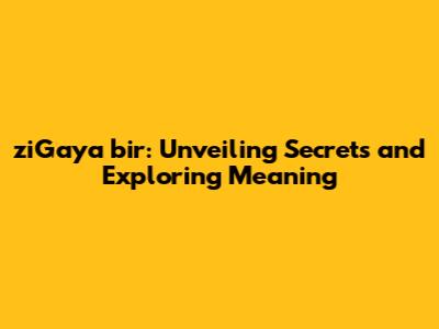 ziGaya bir: Unveiling Secrets and Exploring Meaning